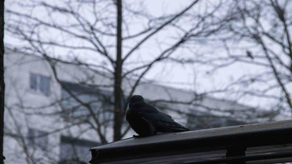 Winterdepressie: een donker en stil probleem