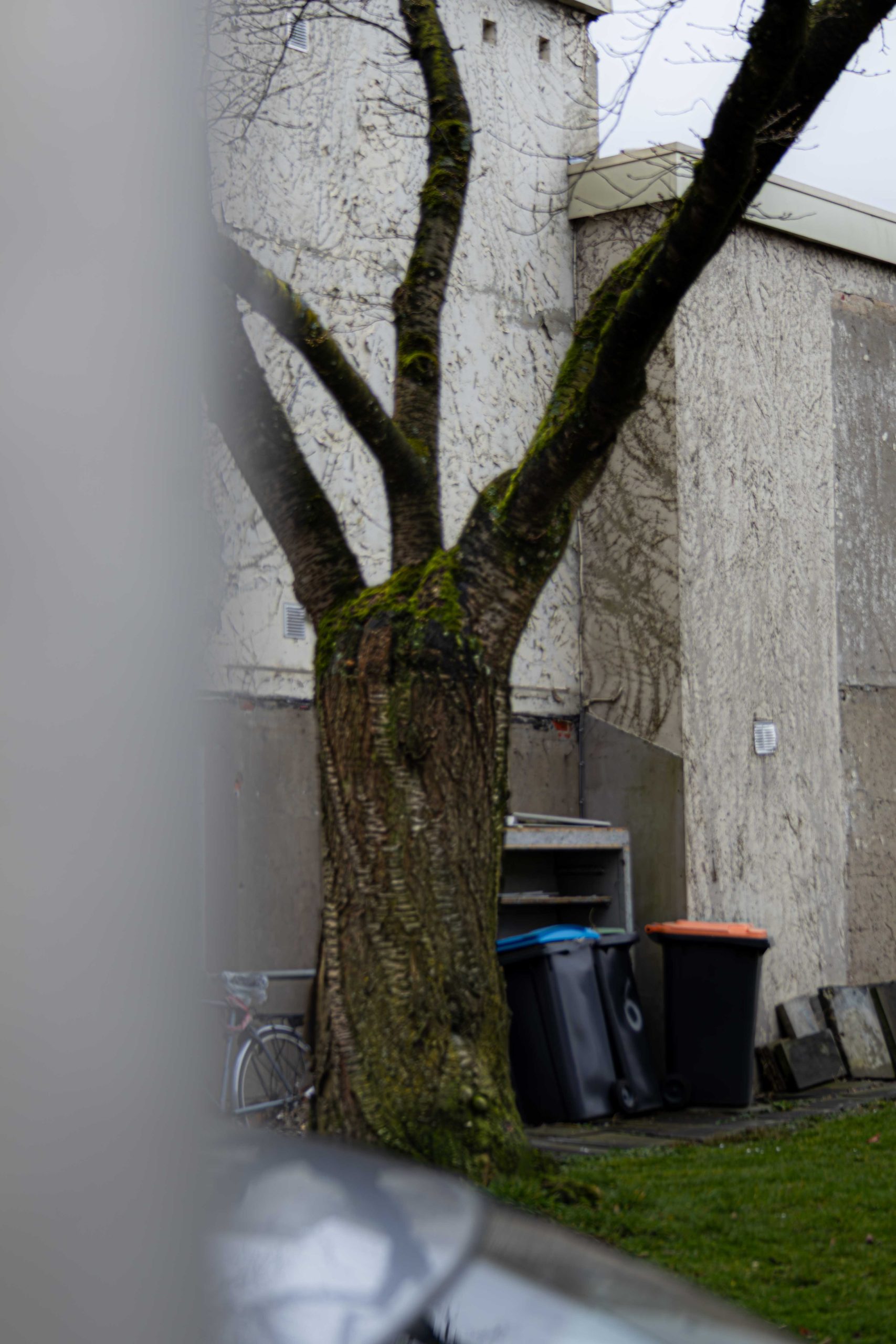 _MG_9957-Enhanced-NR