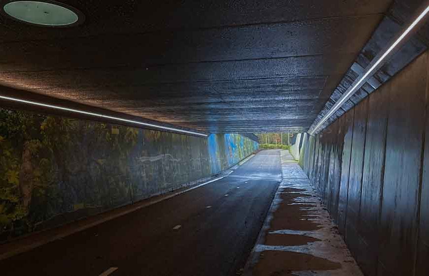 Winterdepressie: de oorzaak en de oplossing