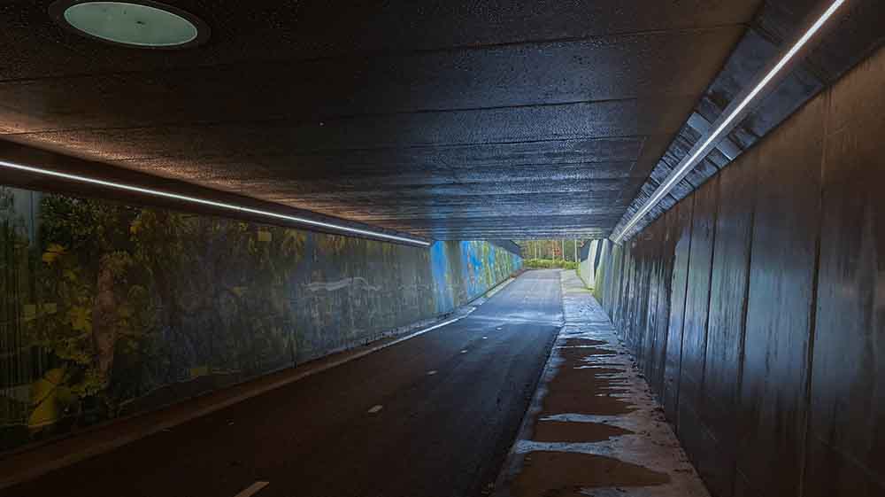 Winterdepressie: de oorzaak en de oplossing